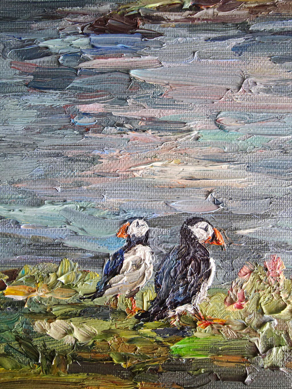 Puffin