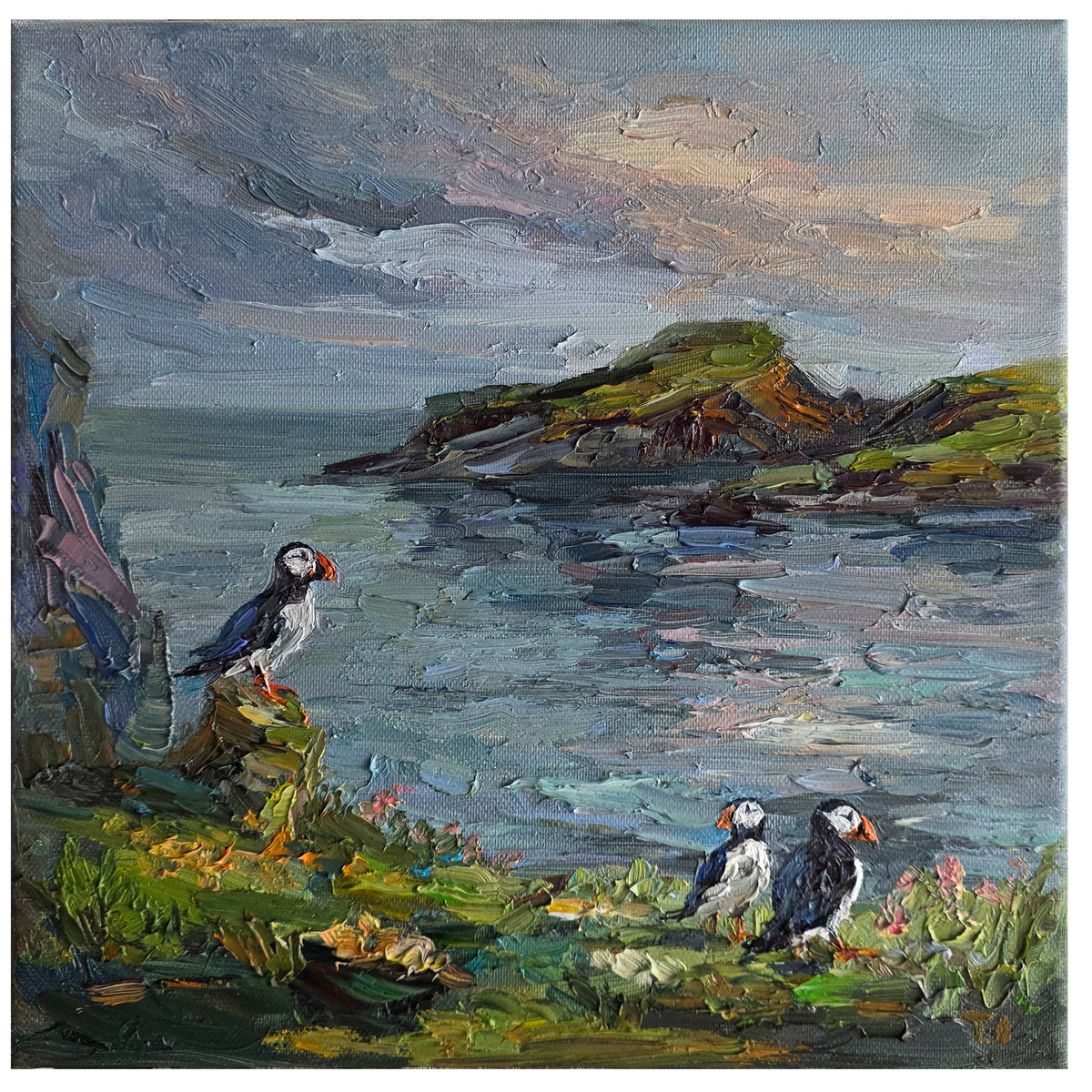 Puffin