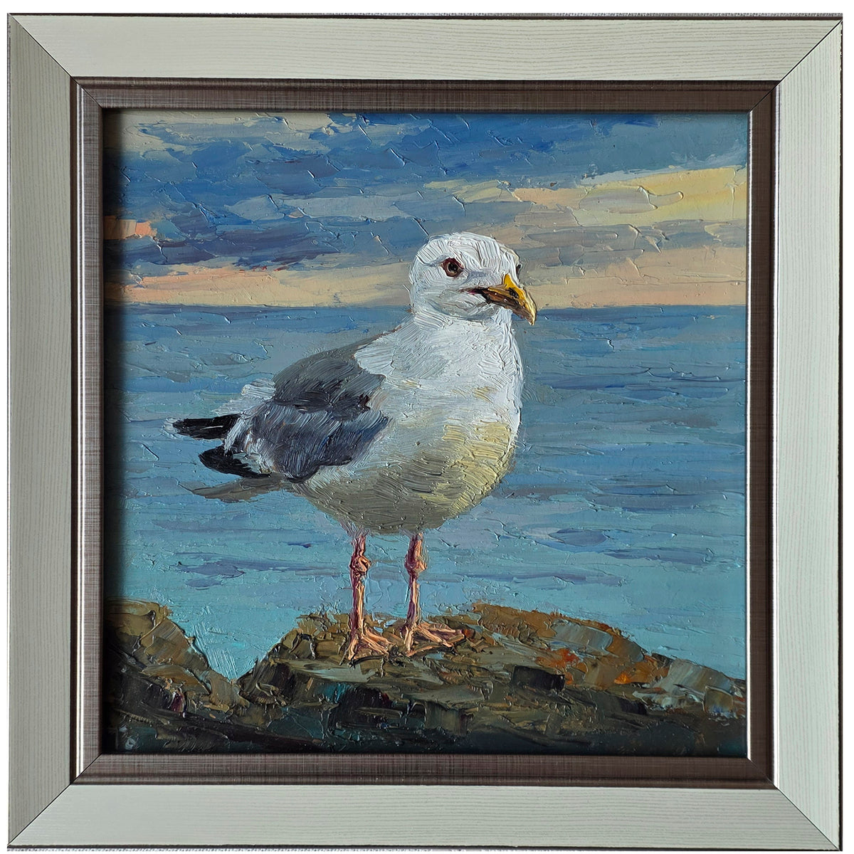 Seagull at Seaside